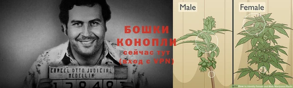дурь Осташков