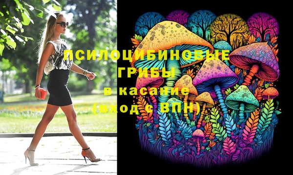 дурь Осташков