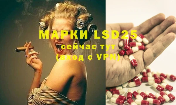 apvp Осинники