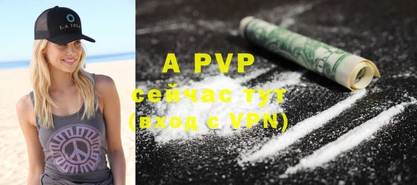 apvp Осинники