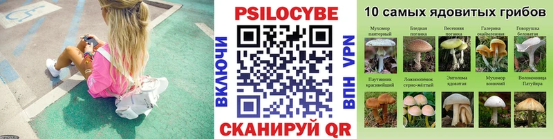 Купить  Славгород  Псилоцибиновые грибы Magic Shrooms 