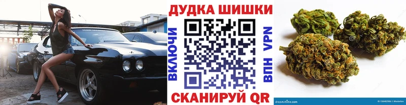 Бошки Шишки план  Купить  Славгород 